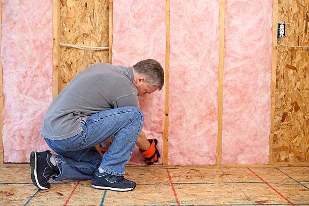 Best Insulation for New Construction  in USA